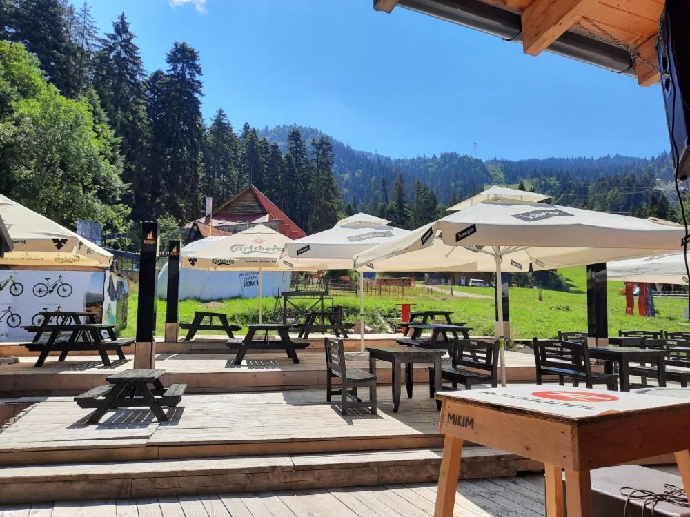 Hotel Club Rossignol *
